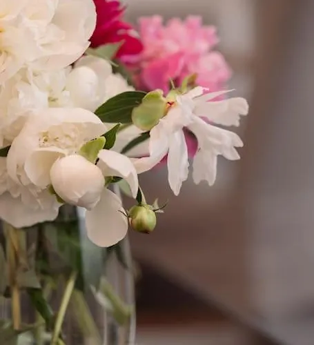 Nr 3 - J26 Luxury Apartment, Jauniela 26 Old - Great View & Location - 2 Bedrooms - 80 M2 Apartment